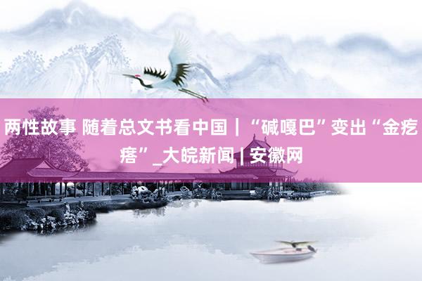 两性故事 随着总文书看中国｜“碱嘎巴”变出“金疙瘩”_大皖新闻 | 安徽网
