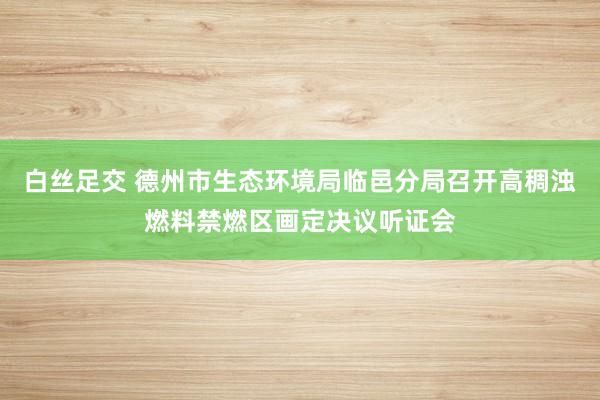 白丝足交 德州市生态环境局临邑分局召开高稠浊燃料禁燃区画定决议听证会