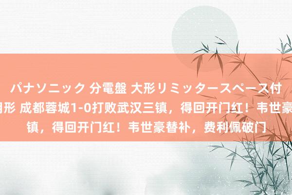 パナソニック 分電盤 大形リミッタースペース付 露出・半埋込両用形 成都蓉城1-0打败武汉三镇，得回开门红！韦世豪替补，费利佩破门