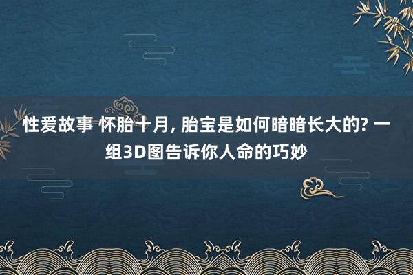 性爱故事 怀胎十月， 胎宝是如何暗暗长大的? 一组3D图告诉你人命的巧妙