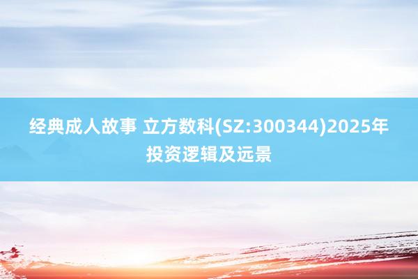 经典成人故事 立方数科(SZ:300344)2025年投资逻辑及远景