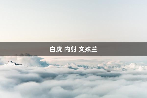白虎 内射 文殊兰
