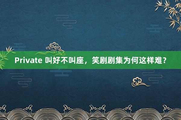 Private 叫好不叫座，笑剧剧集为何这样难？